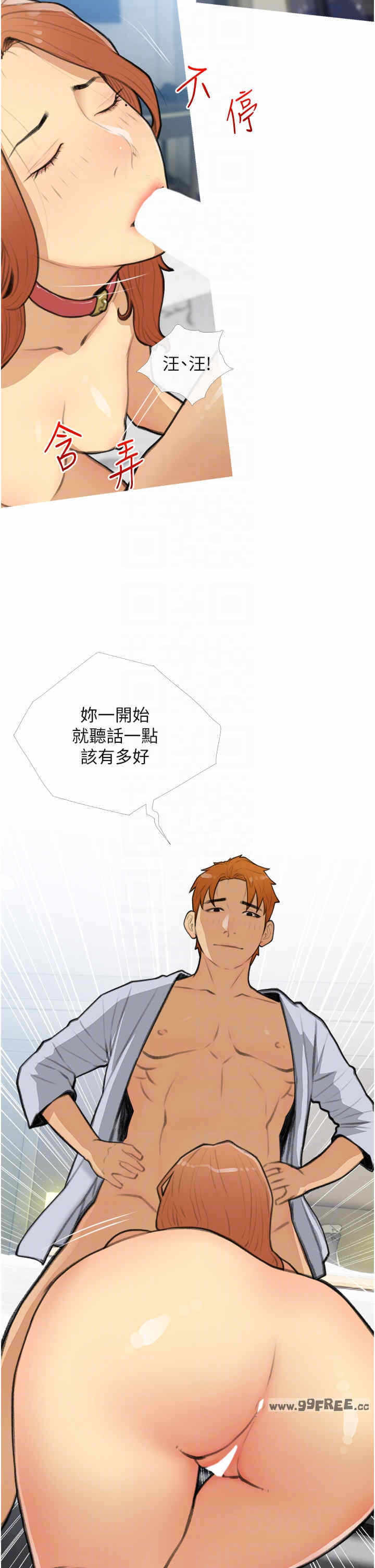 第26张