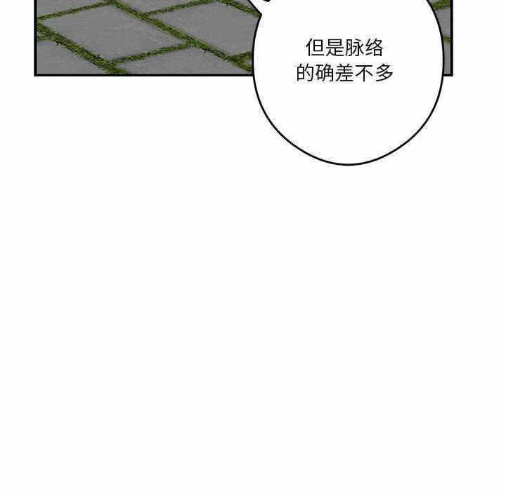 第140张