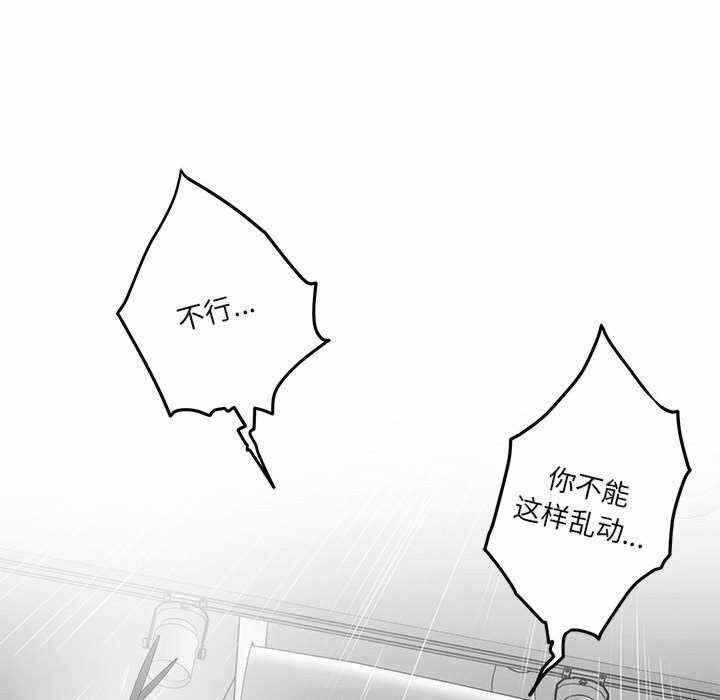 第12张