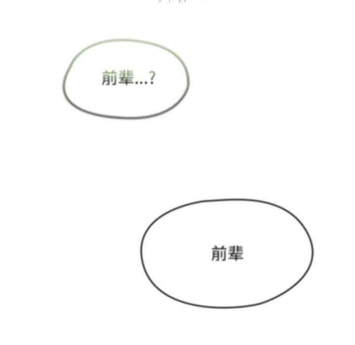 第17张