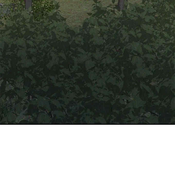 第121张