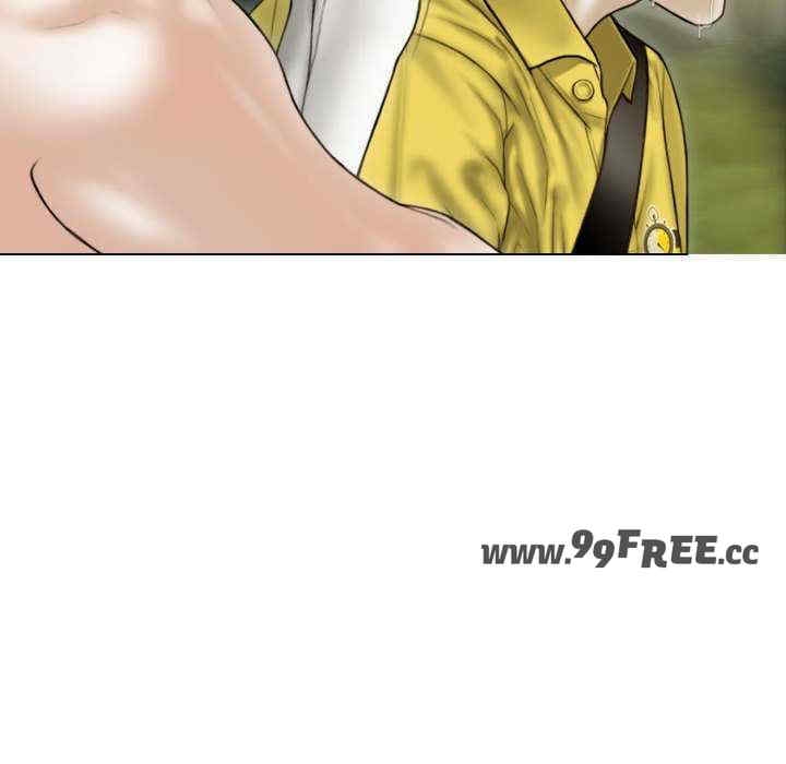 第27张