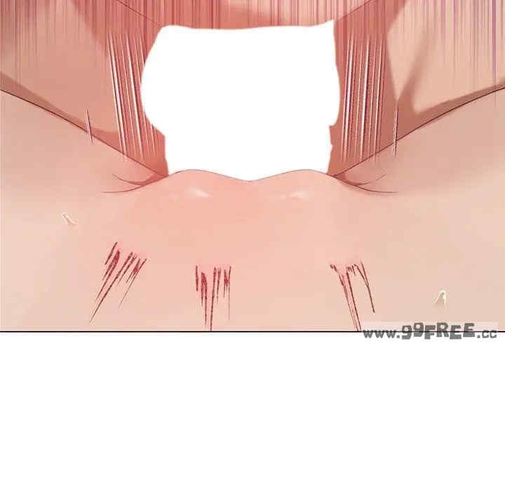 第146张