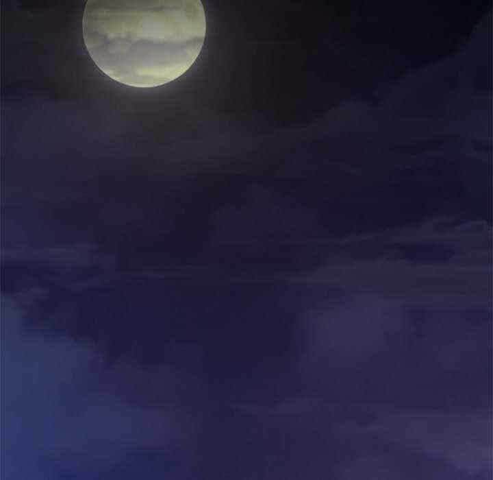 第11张