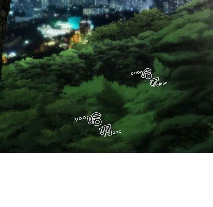 第123张