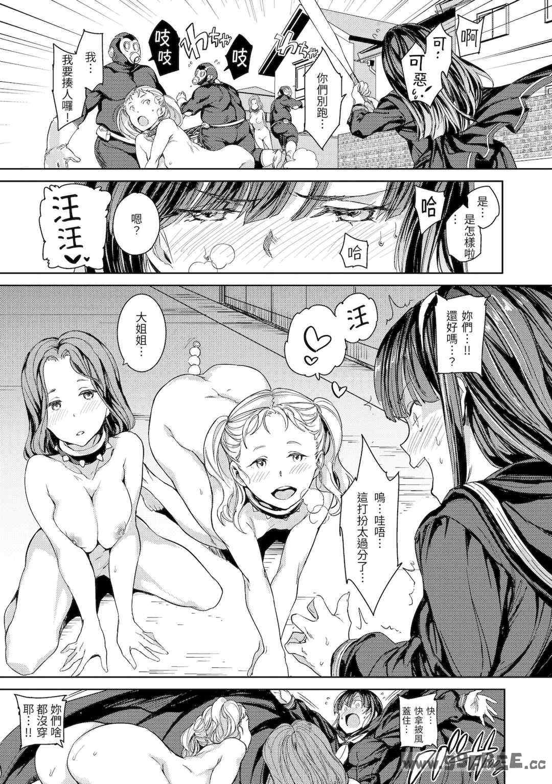 第12张