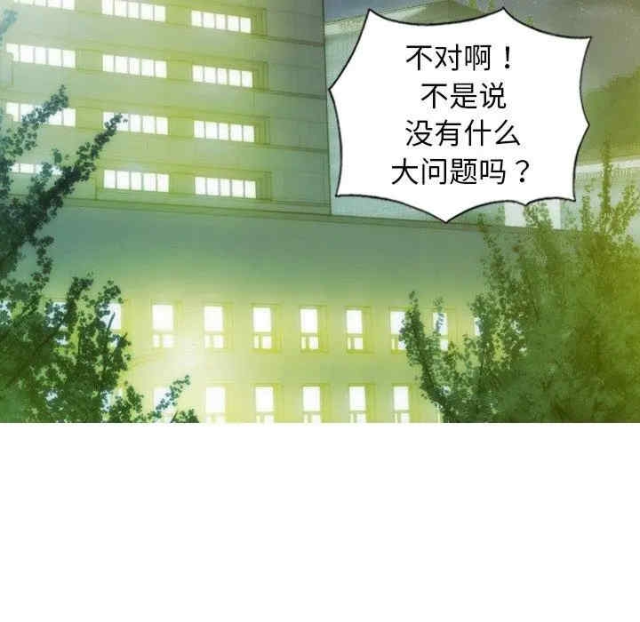 第63张