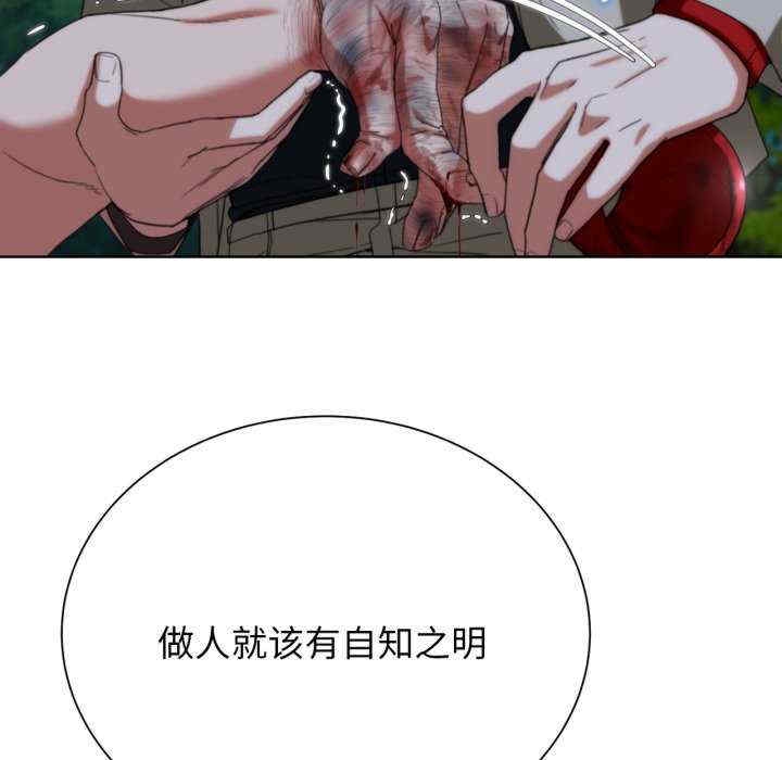 第12张