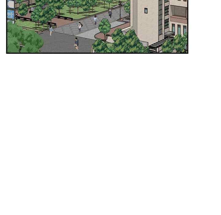 第43张