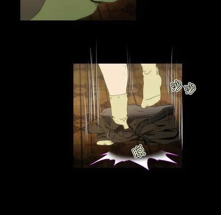 第17张