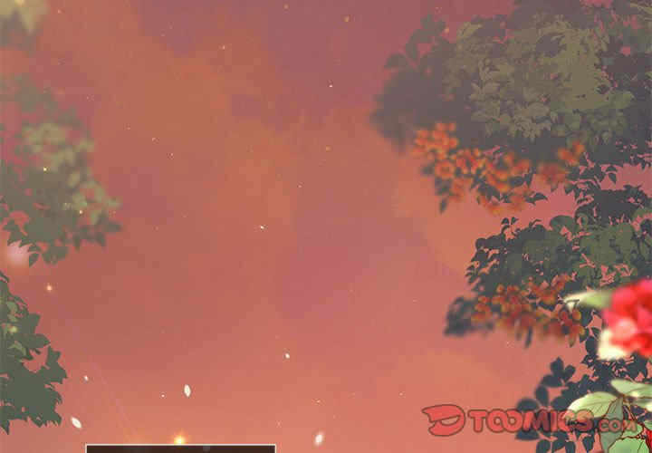 第6张