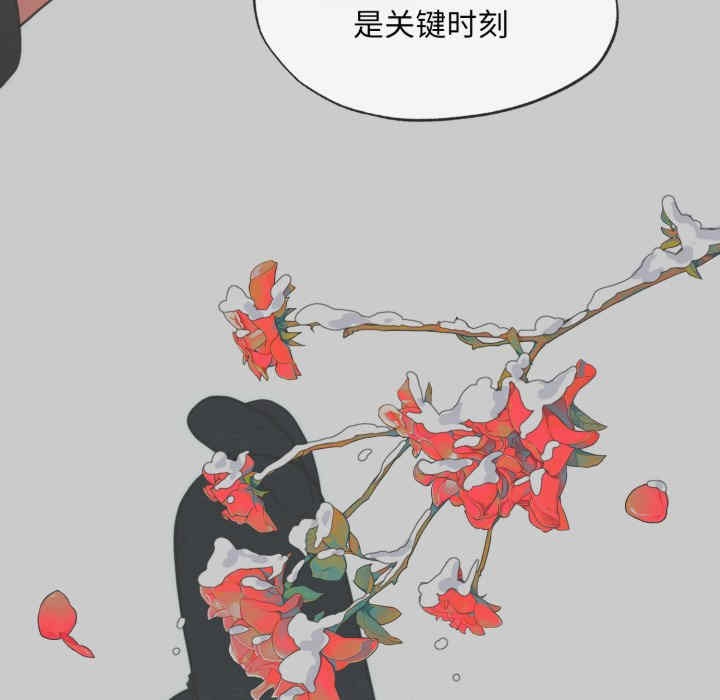 第117张