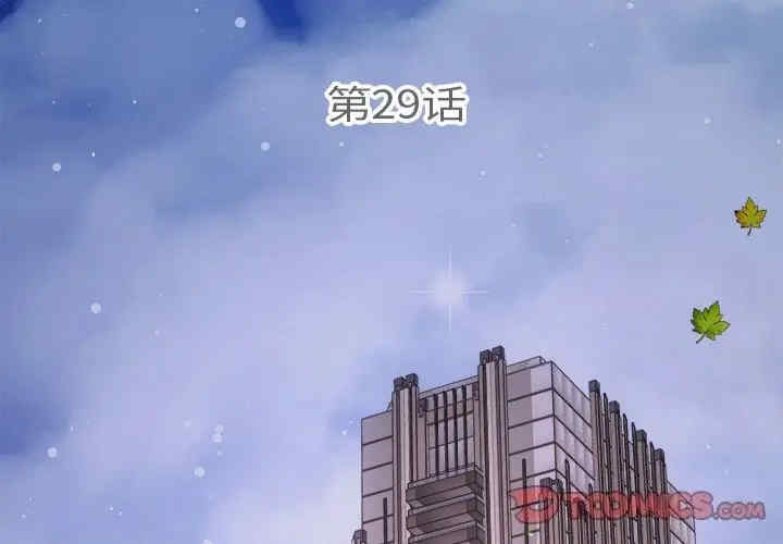 第6张