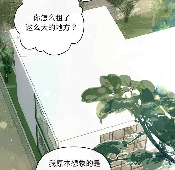 第31张
