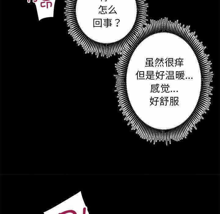 第142张