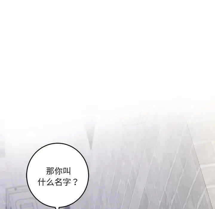 第115张