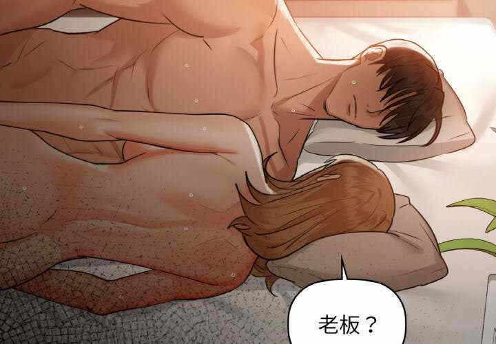 第3张