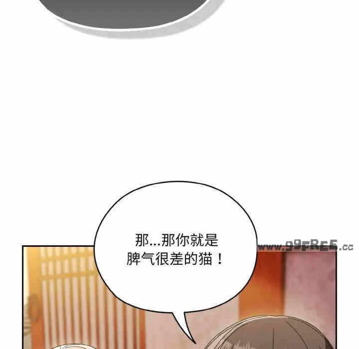 第123张