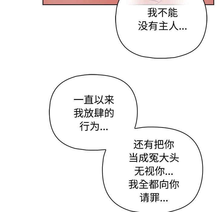 第51张