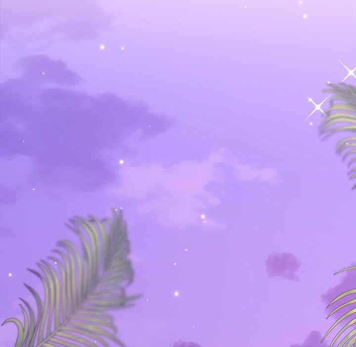 第17张