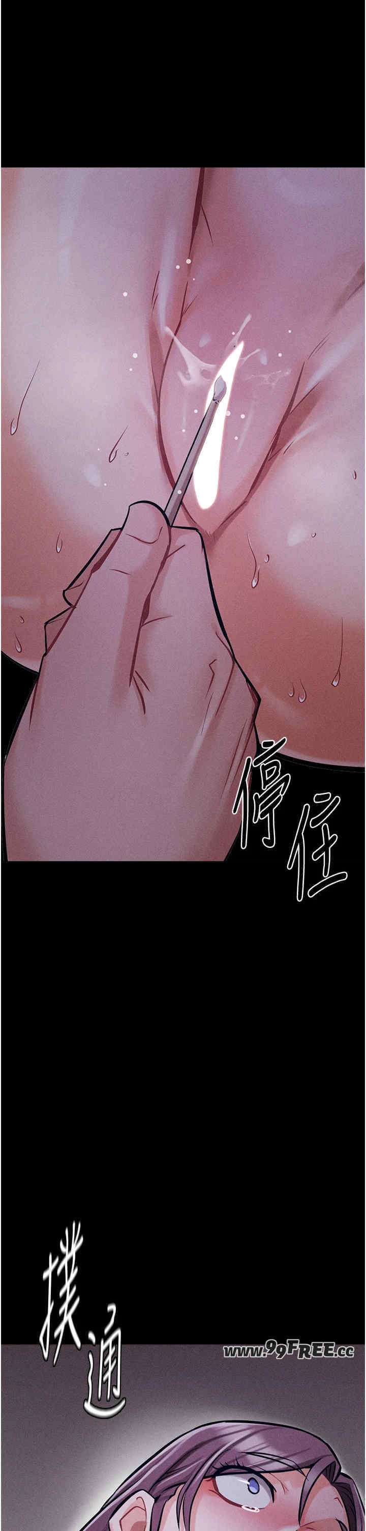 第50张