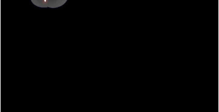 第61张