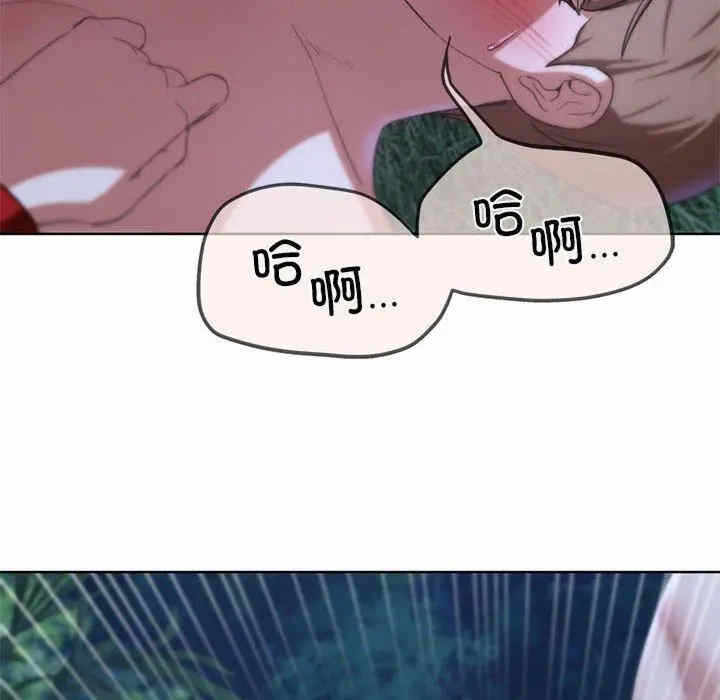 第17张