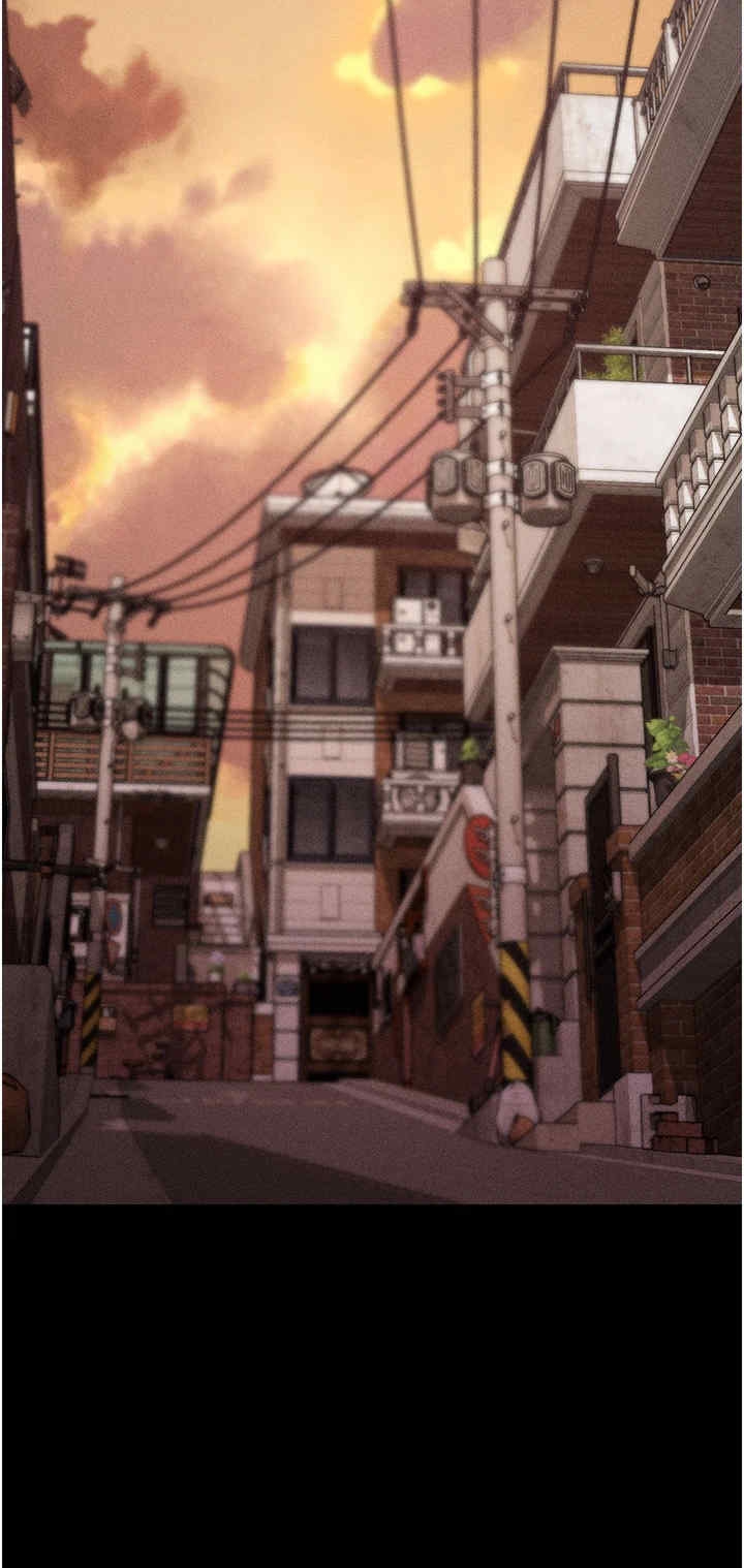 第13张