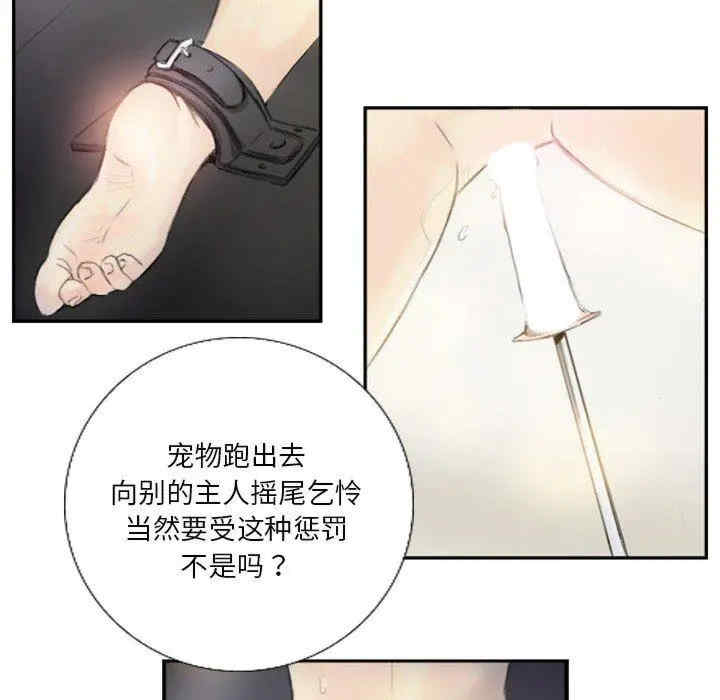 第23张