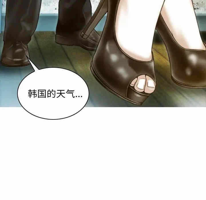 第146张