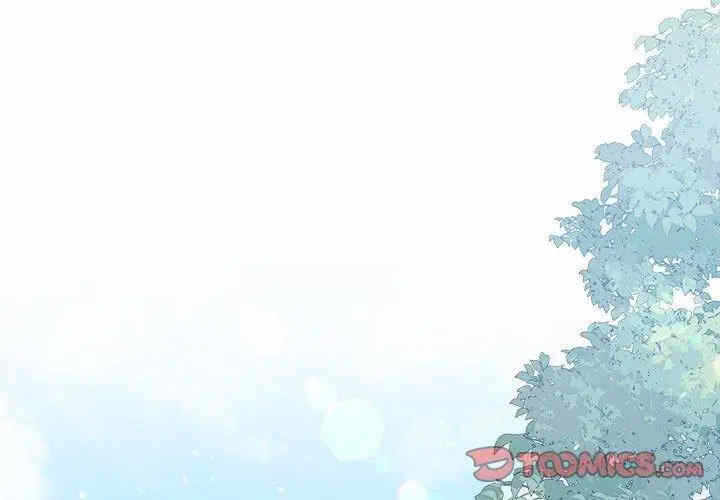 第6张