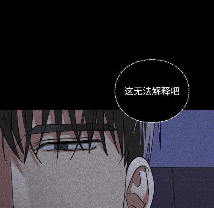 第81张
