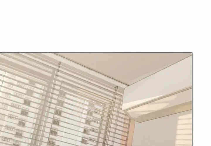 第7张
