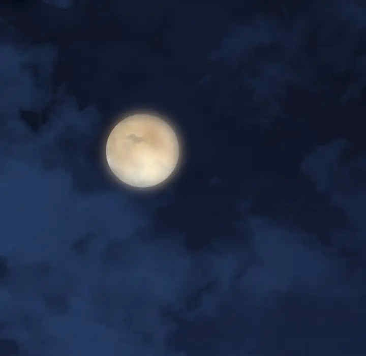 第174张