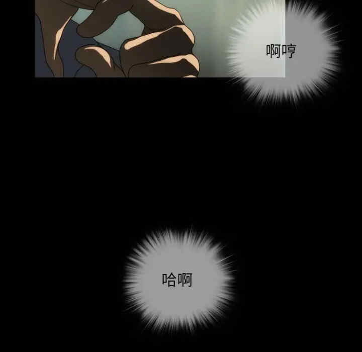第43张