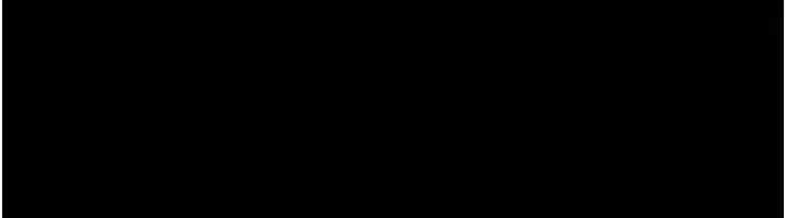 第31张