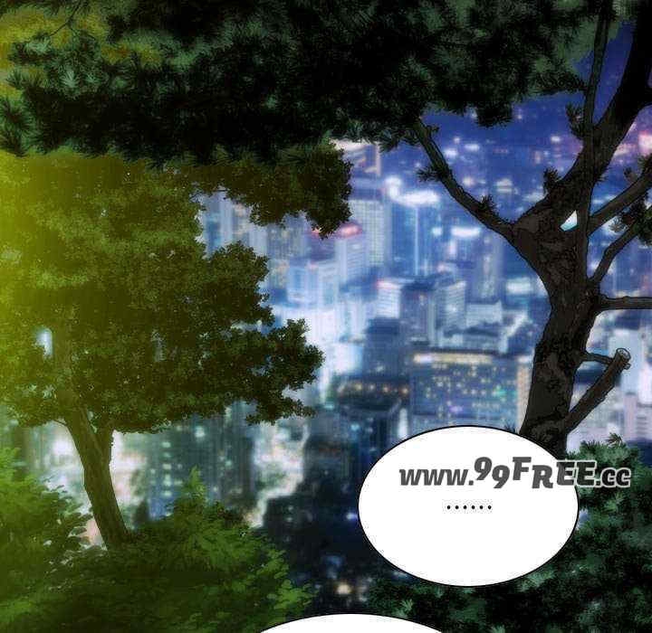 第95张