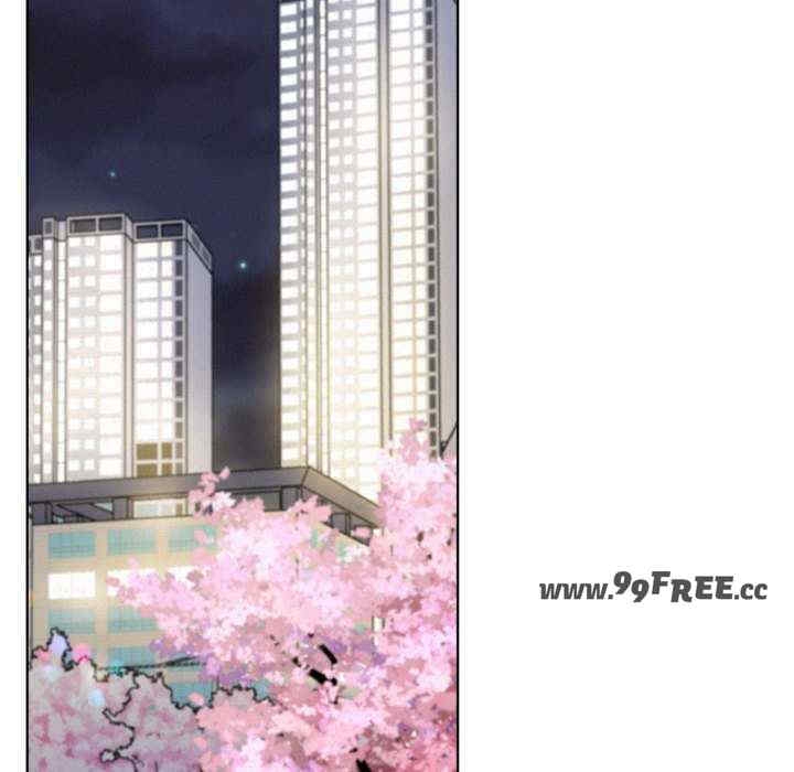 第91张