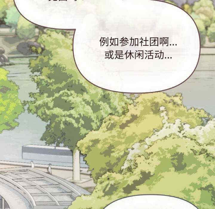 第17张