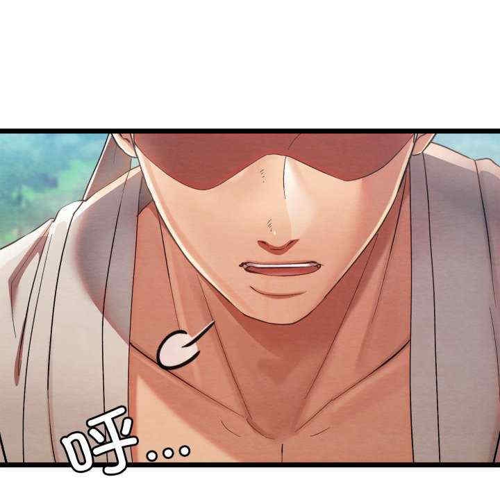 第204张