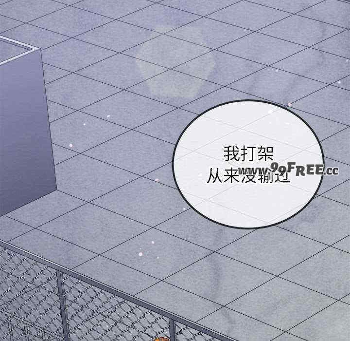 第5张