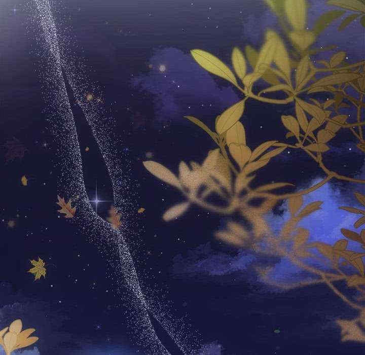第51张