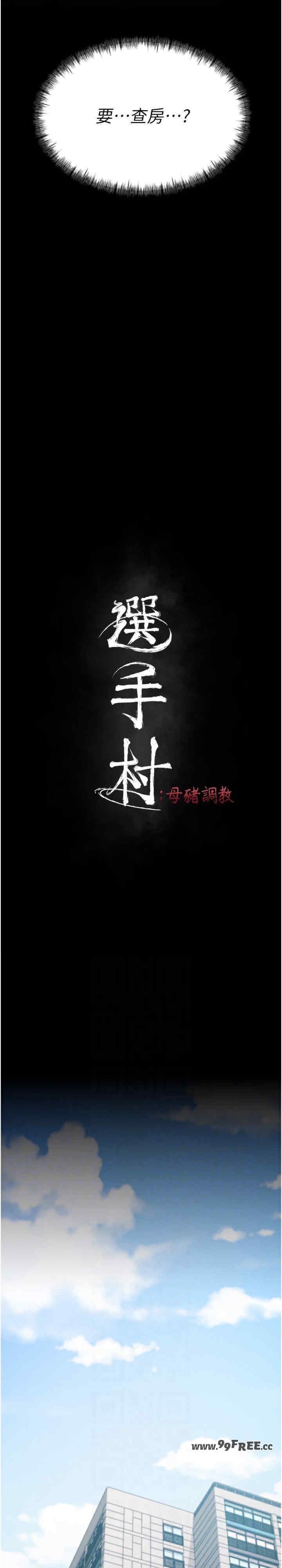 第3张