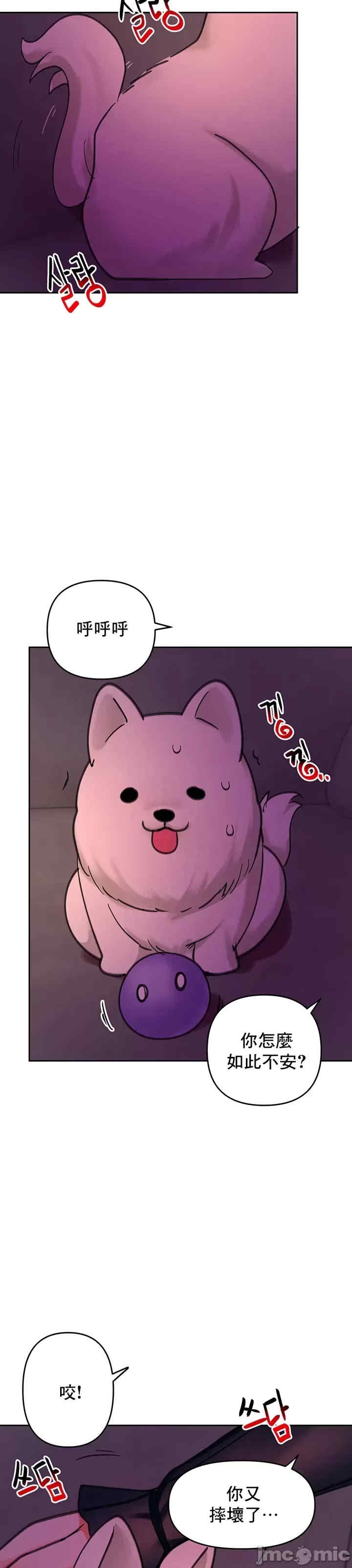 第49张