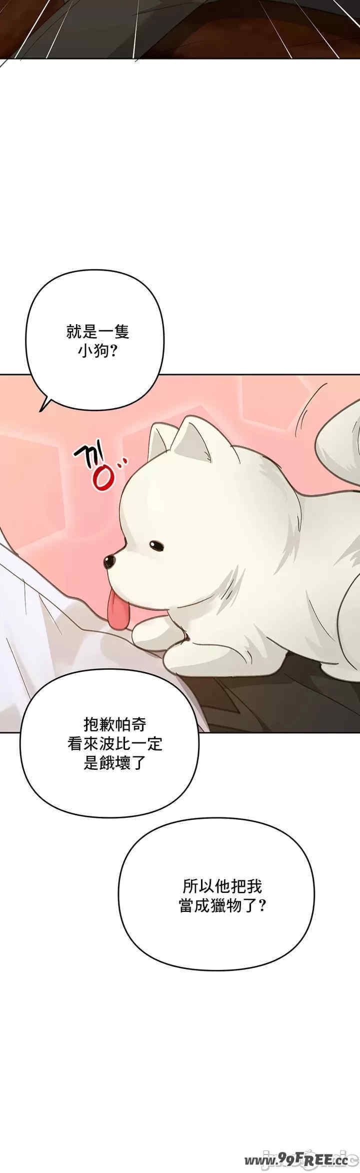 第36张