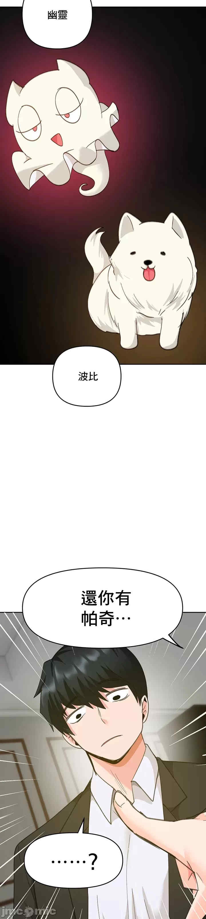 第47张
