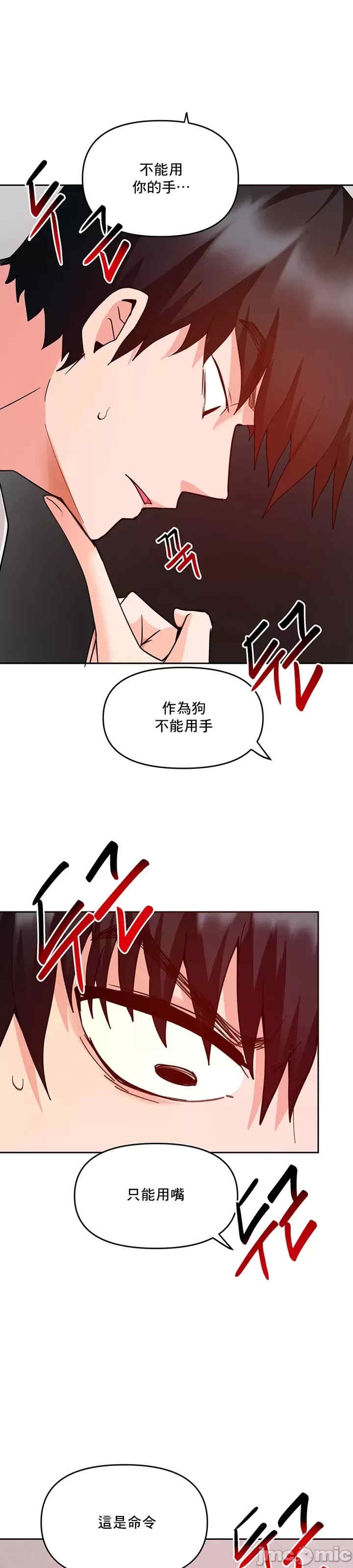 第49张