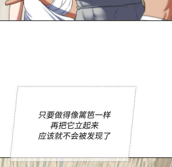 第17张