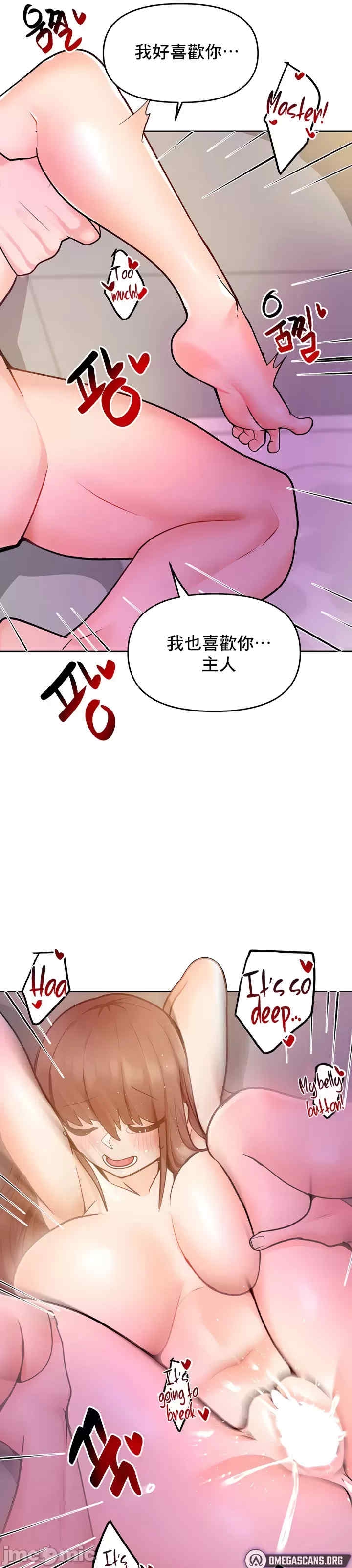 第41张