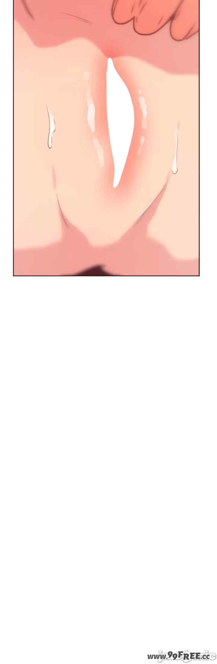 第41张